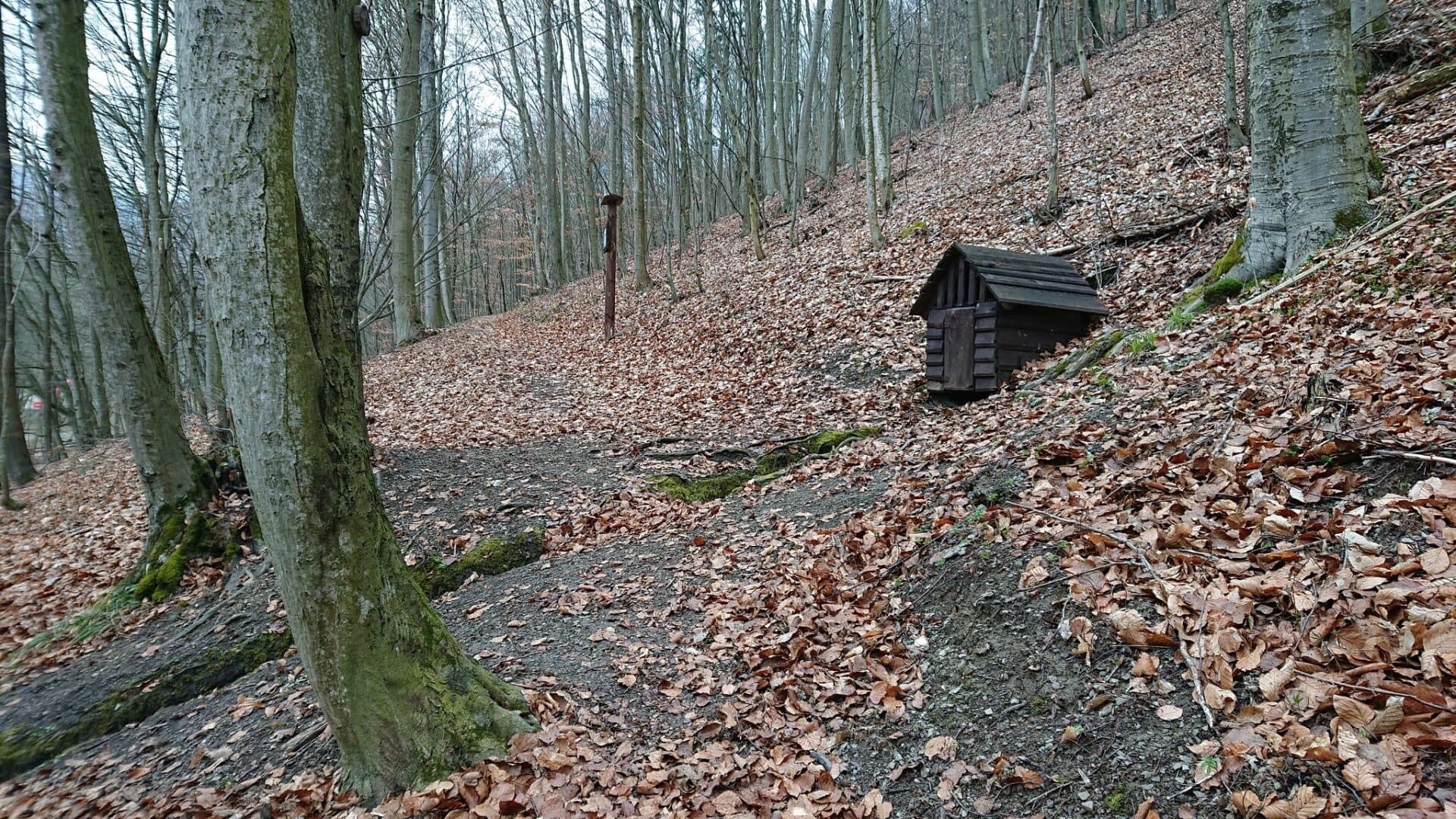 Staráme sa o turistické chodníky v Mestských lesoch